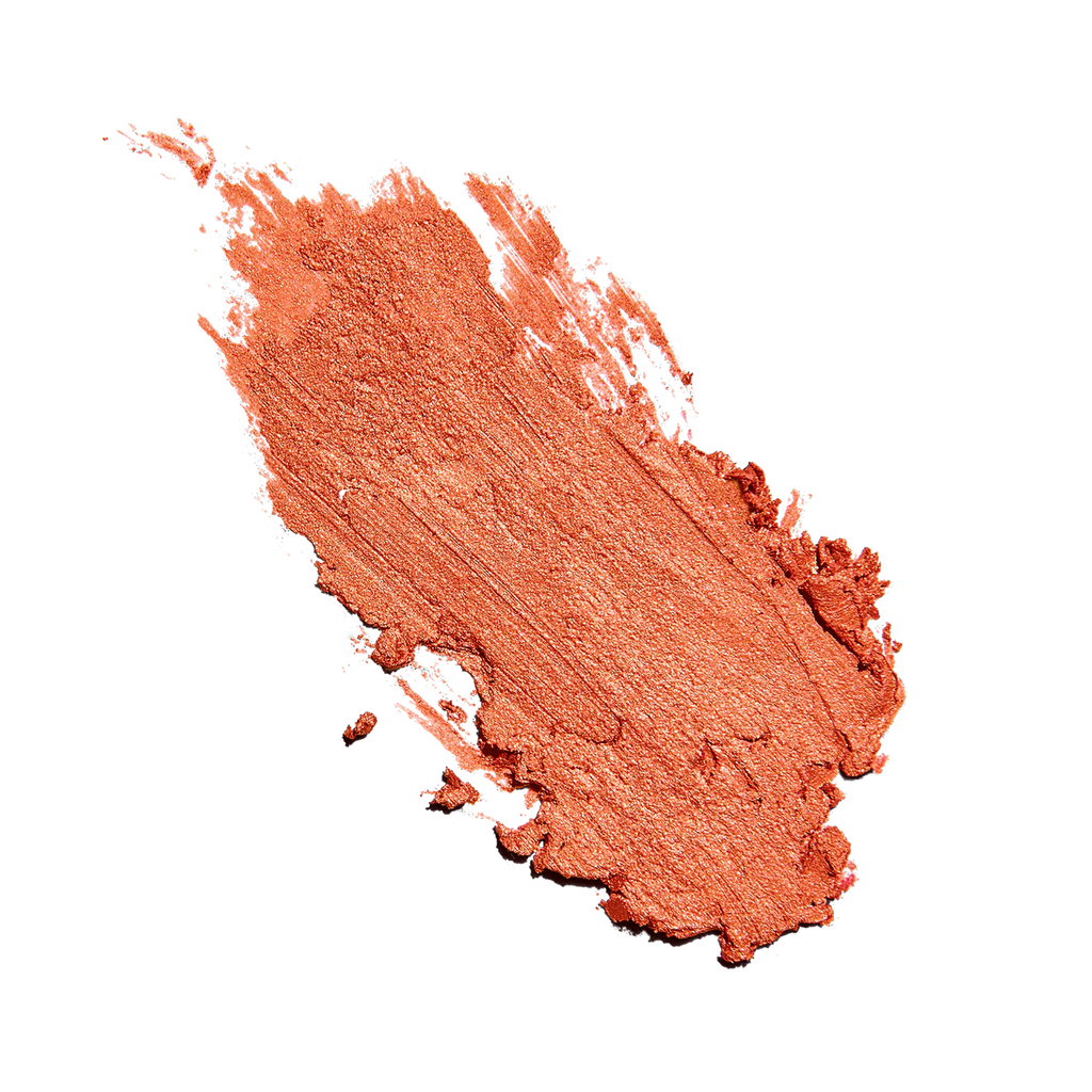 Sunforgettable® Total Protection™ Color Balm SPF 50 image 14